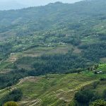 पहाडी माटोमा उम्रिएको जीविका