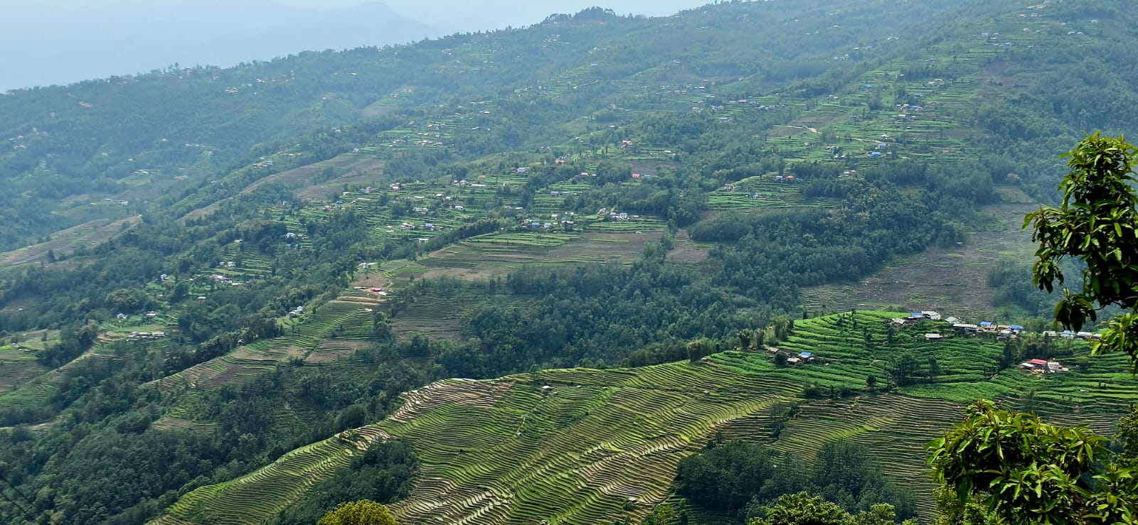 bhojpur agriculture
